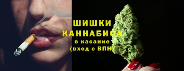 амф Арсеньев