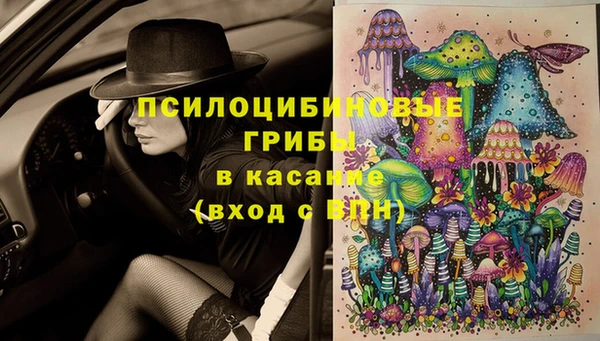 тгк Алексин