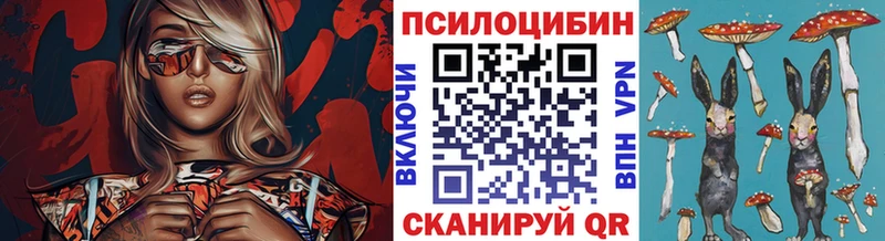 даркнет сайт  Междуреченск  Галлюциногенные грибы GOLDEN TEACHER 